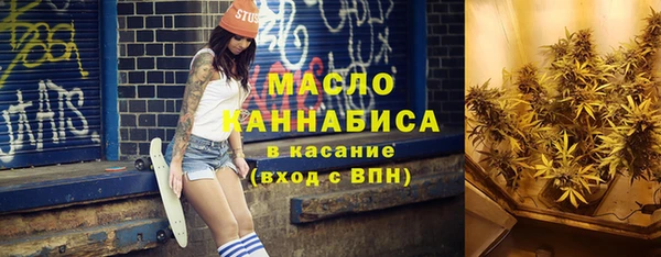 тгк Пересвет