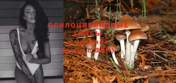 тгк Пересвет